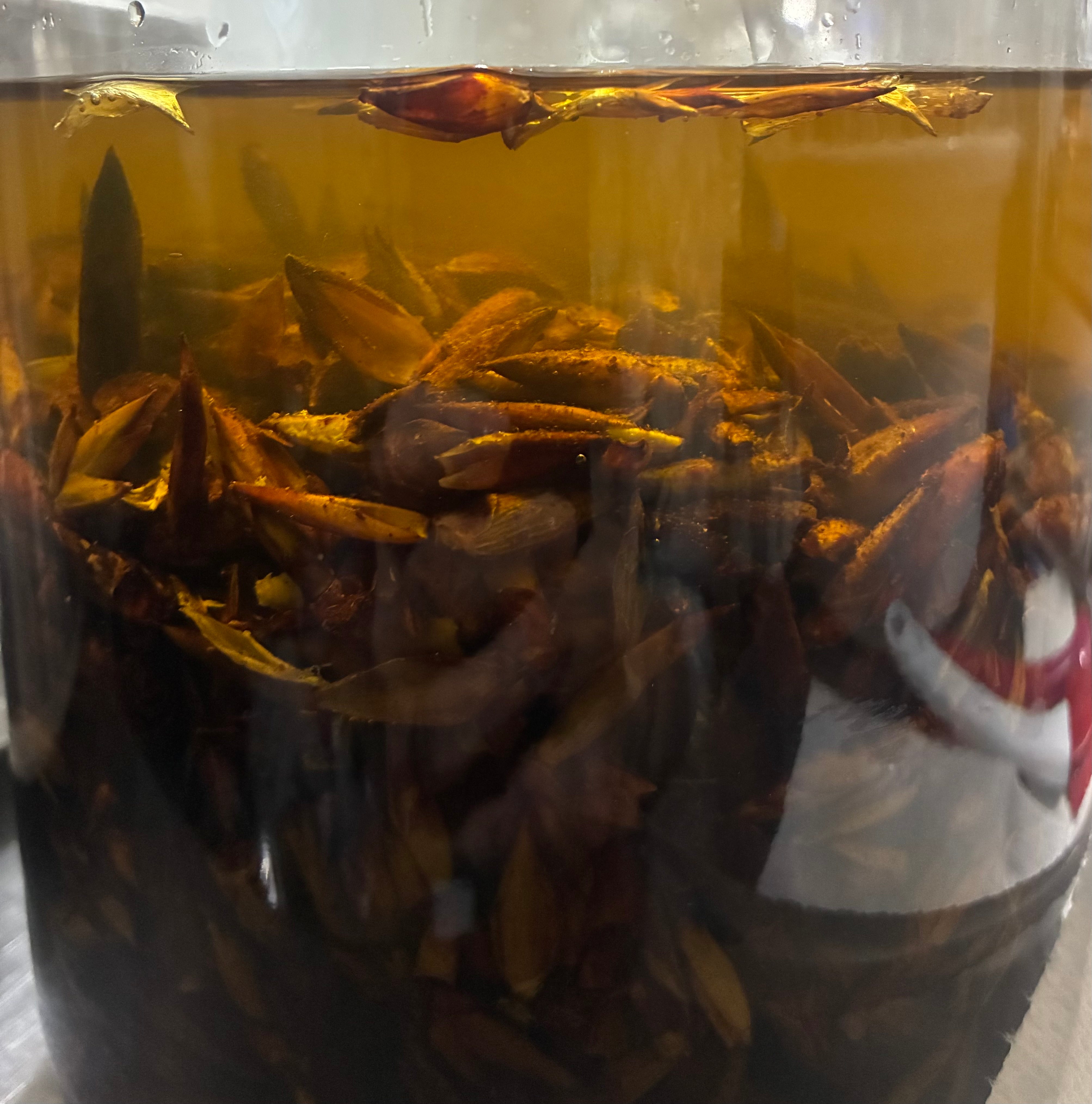 Grandmother’s Tree Medicine